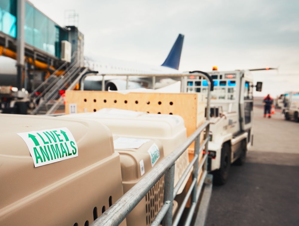 Question of the Week